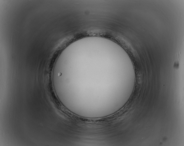 X0000102220690200807250746