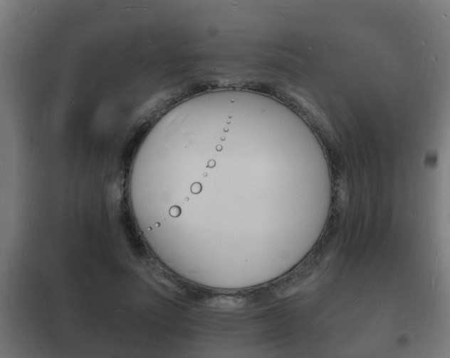 X0000102220691200807250746