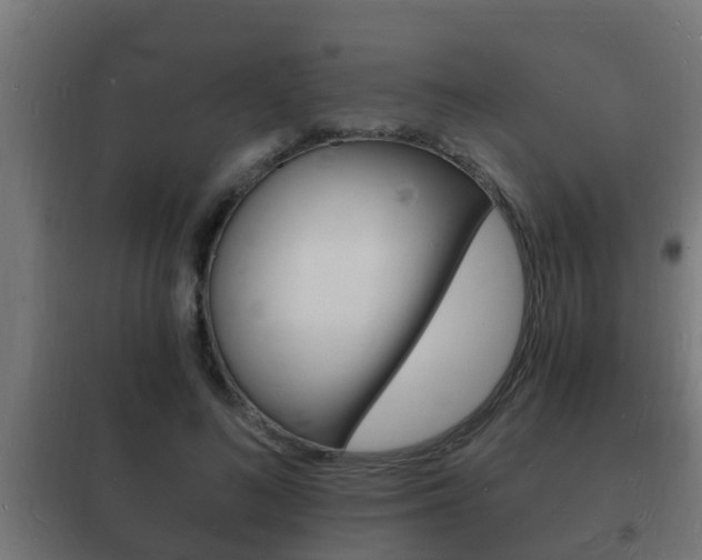 X0000102220692200807250746