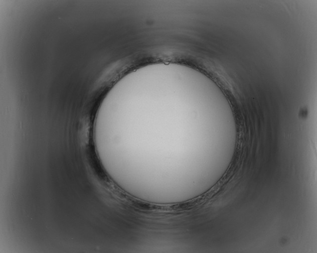 X0000102220694200807250746