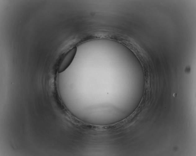 X0000102220696200807250746