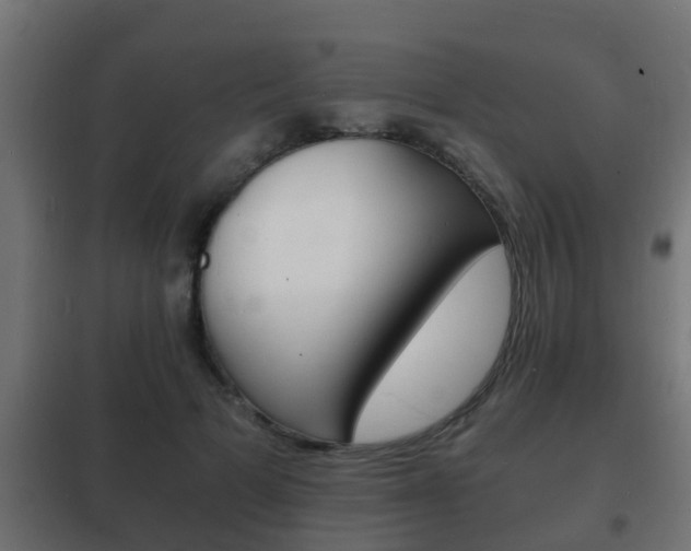 X0000102220697200807250746