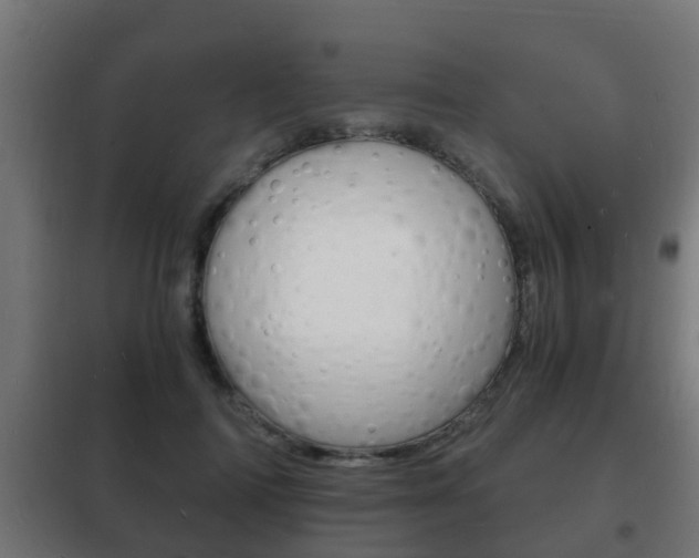 X0000102220698200807250746