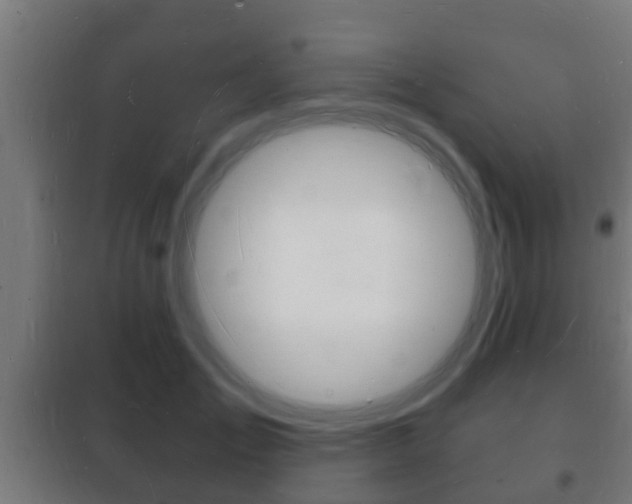 X0000102220701200807250746