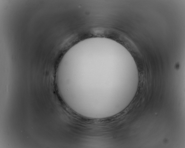 X0000102220702200807250746