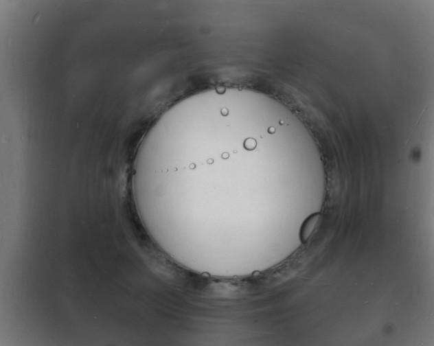 X0000102220703200807250746