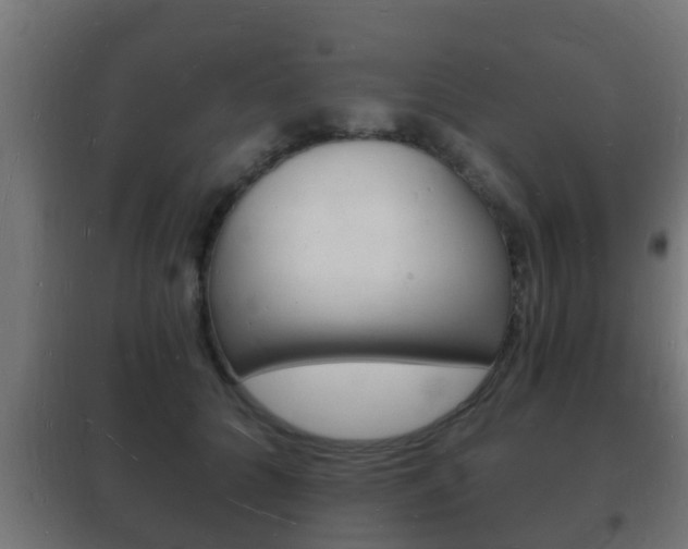 X0000102220704200807250746