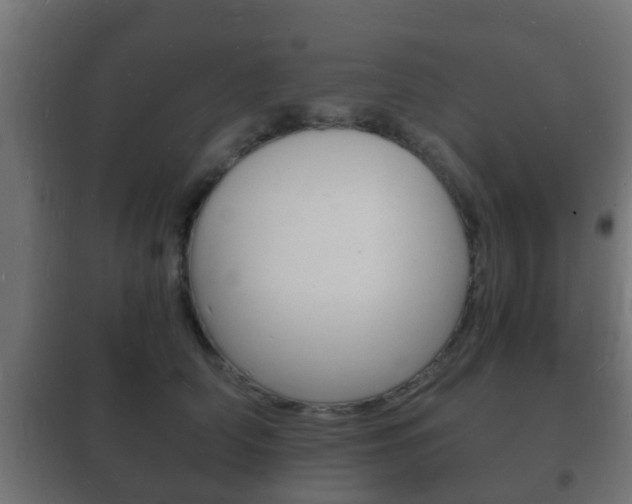 X0000102220706200807250746