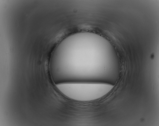X0000102220708200807250746