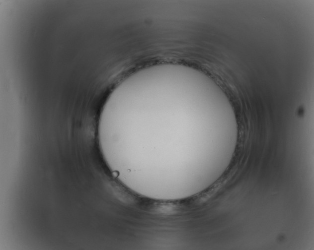 X0000102220710200807250746
