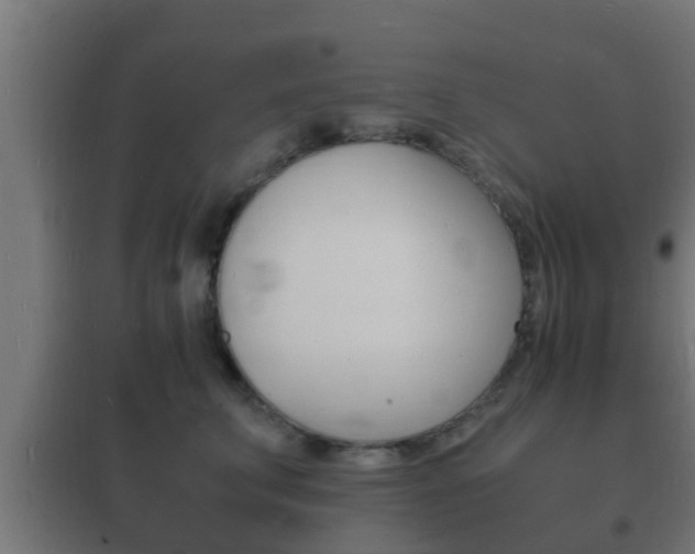 X0000102220711200807250746