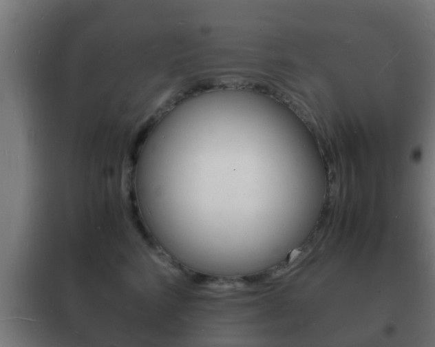 X0000102220712200807250746