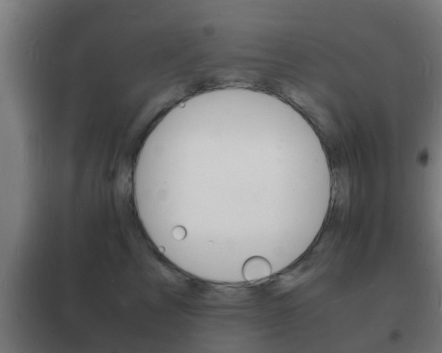 X0000102220713200807250746