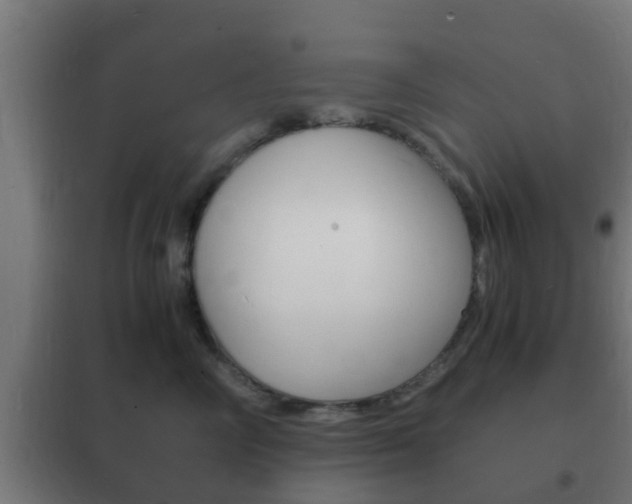 X0000102220714200807250746