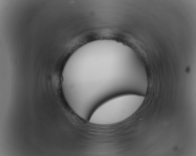 X0000102220715200807250746