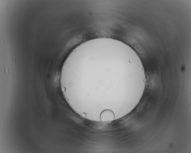 X0000102220717200807250746