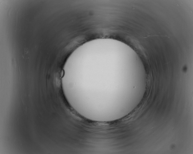 X0000102220719200807250746