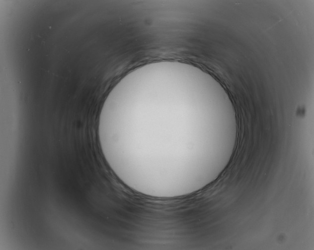 X0000102220720200807250746