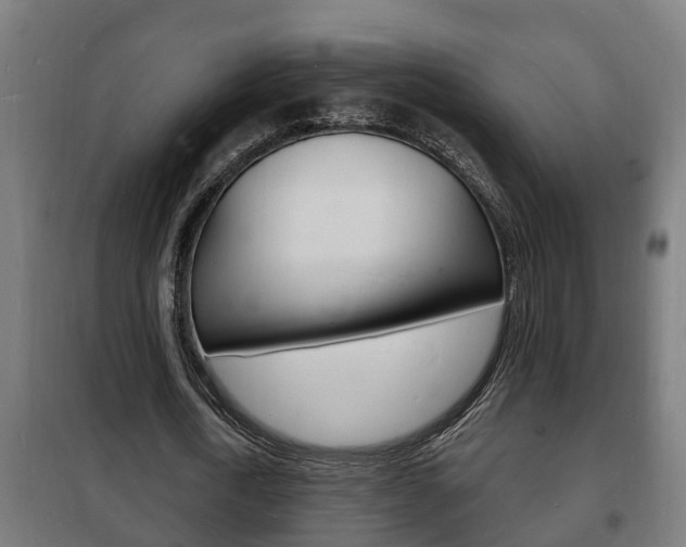 X0000102220722200807250745