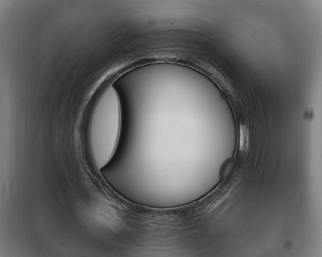 X0000102220723200807250745