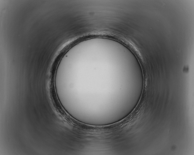 X0000102220724200807250745