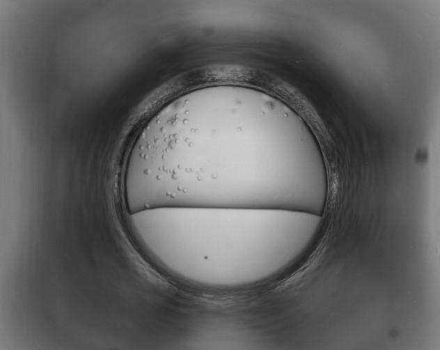 X0000102220725200807250745