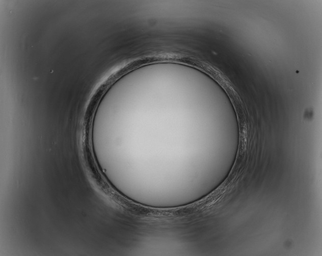 X0000102220726200807250745
