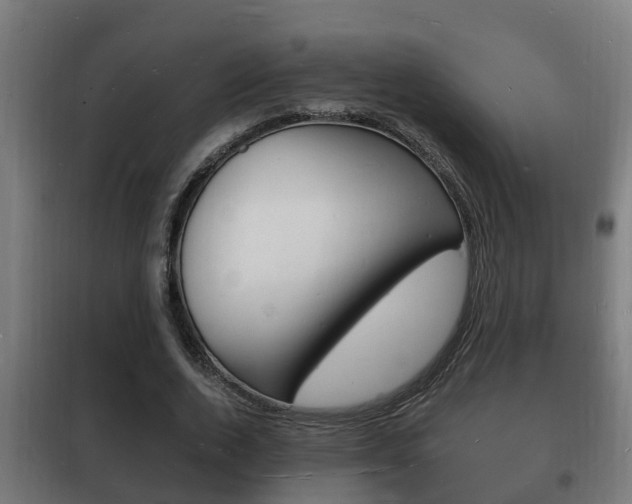 X0000102220728200807250745