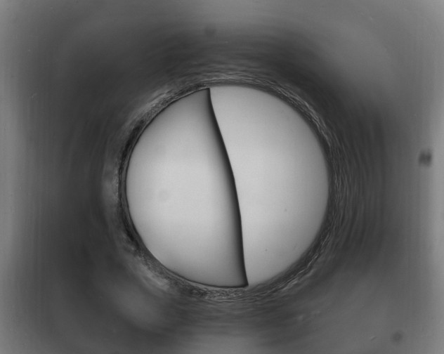 X0000102220729200807250745