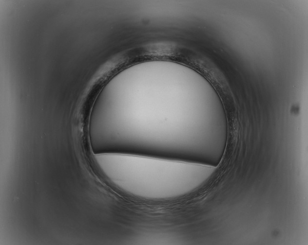 X0000102220731200807250745