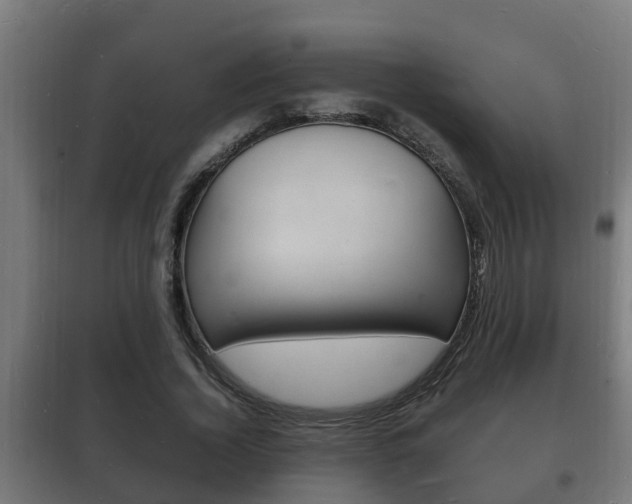 X0000102220732200807250745