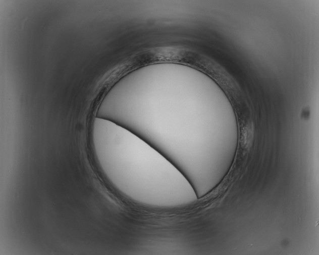 X0000102220733200807250745
