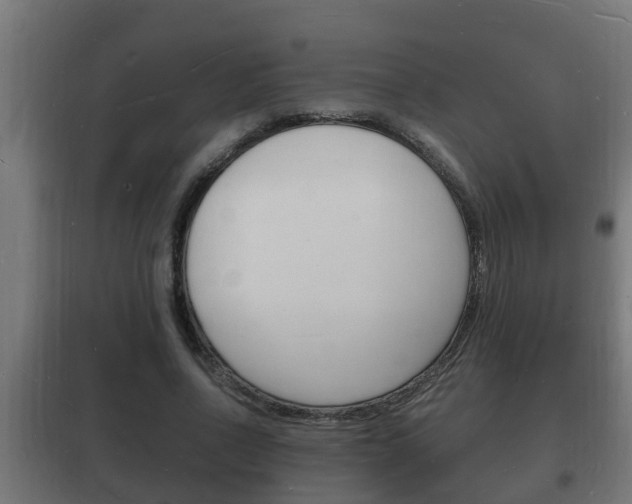 X0000102220734200807250745