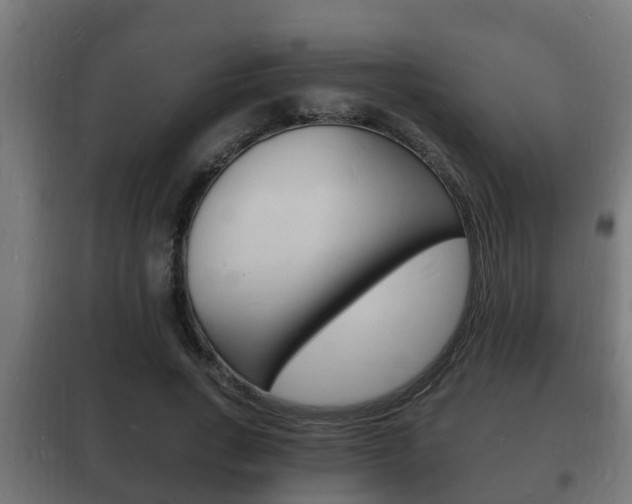 X0000102220735200807250745