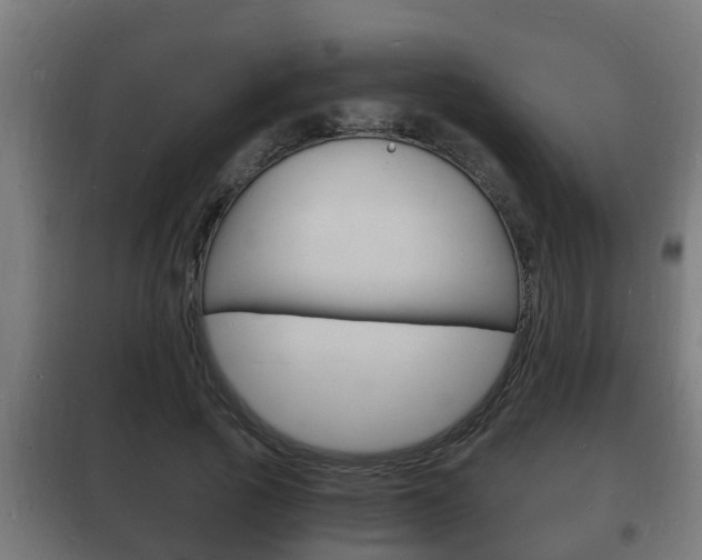 X0000102220737200807250745