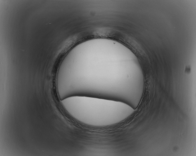 X0000102220738200807250745