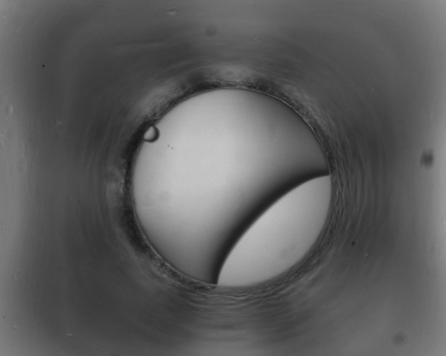 X0000102220739200807250745