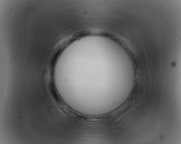 X0000102220740200807250745
