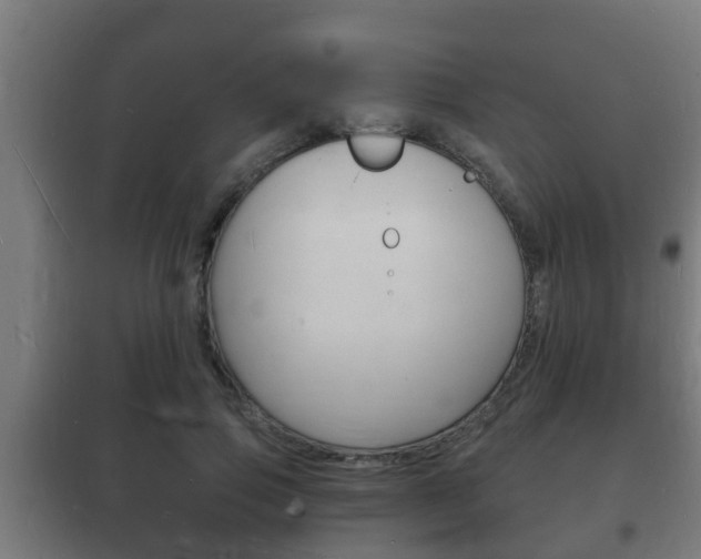 X0000102220741200807250745