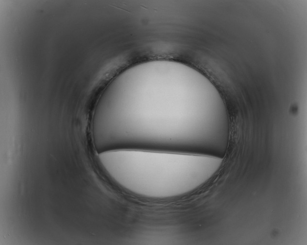 X0000102220742200807250745