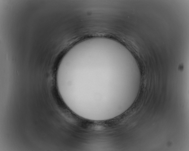 X0000102220743200807250746