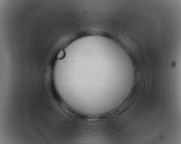 X0000102220744200807250746