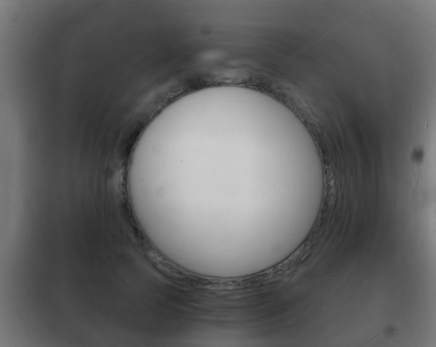 X0000102220745200807250746