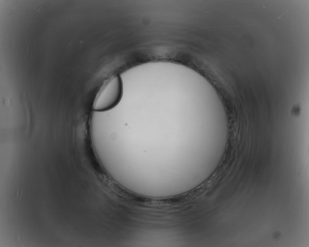 X0000102220746200807250746