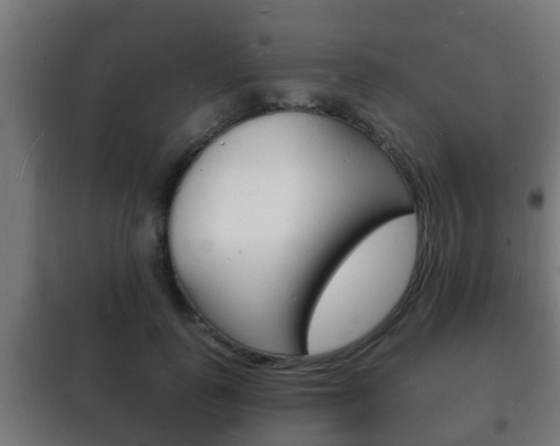 X0000102220747200807250746