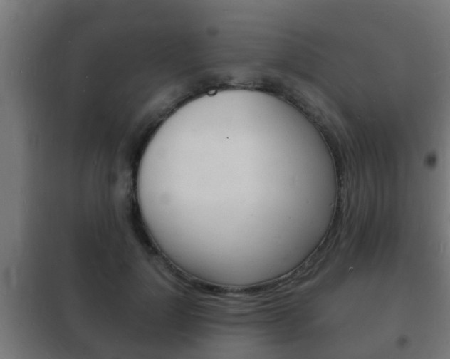 X0000102220748200807250746
