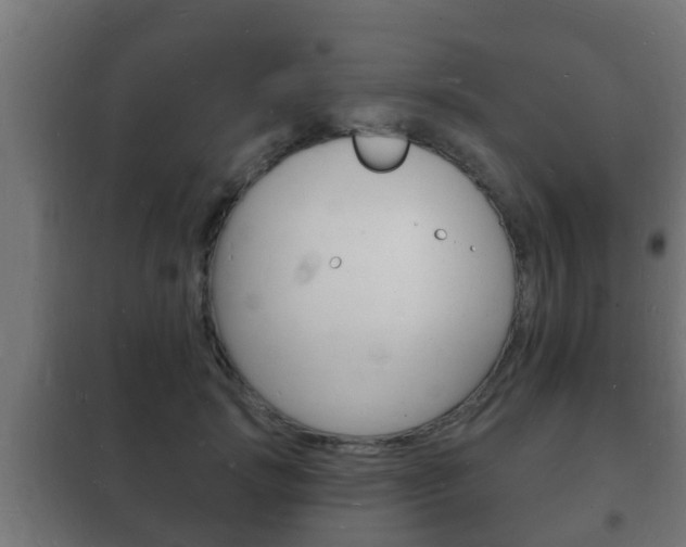 X0000102220749200807250746