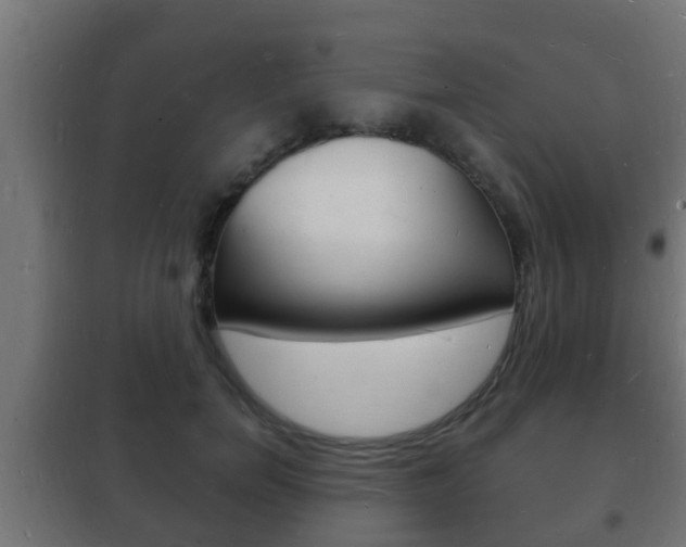 X0000102220750200807250746