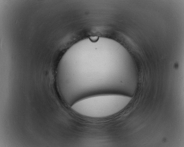 X0000102220751200807250746