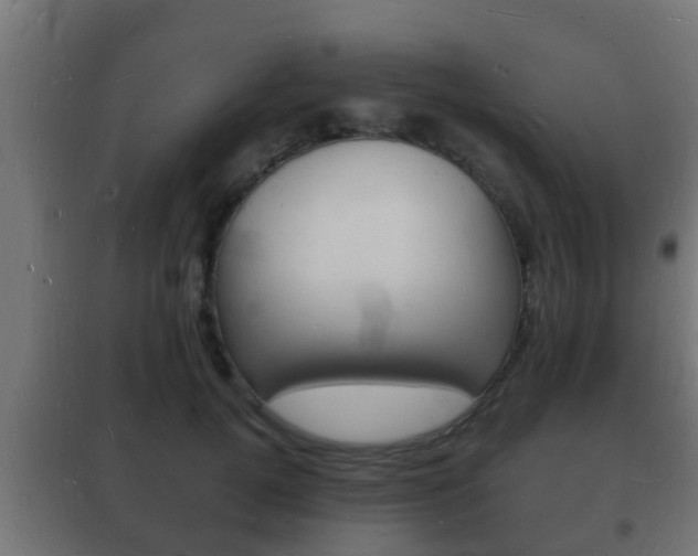 X0000102220752200807250746